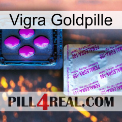 Vigra Gold Pill 37